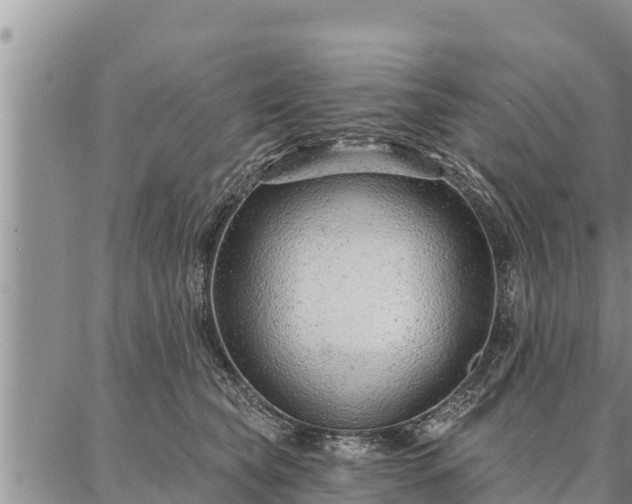 X0000086930565200704231333