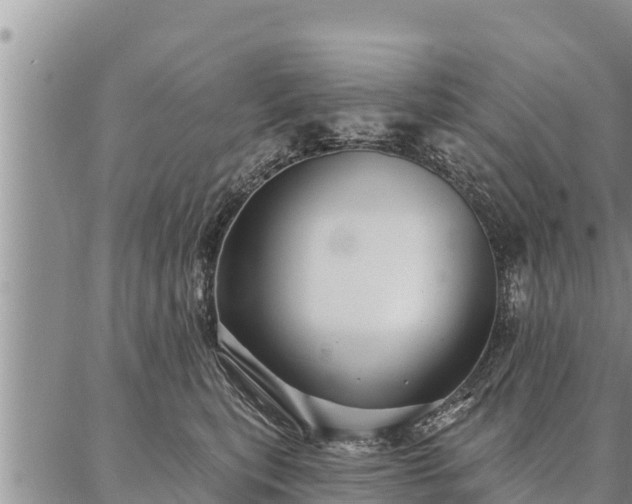 X0000086930567200704231333