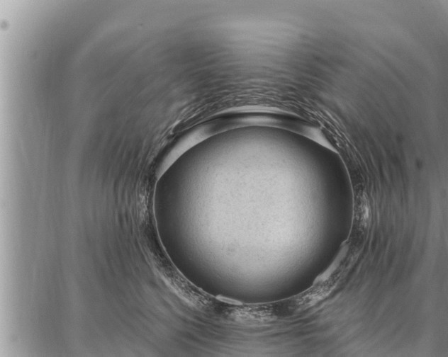 X0000086930568200704231333