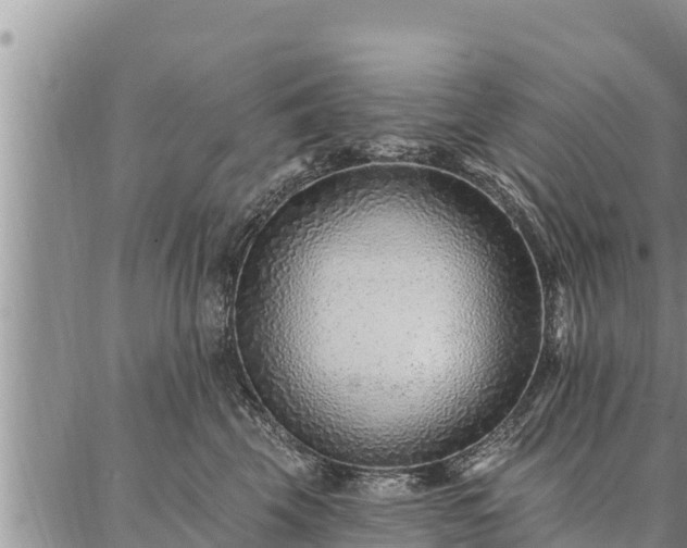 X0000086930569200704231333