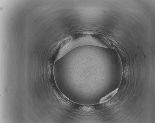 X0000086930570200704231333