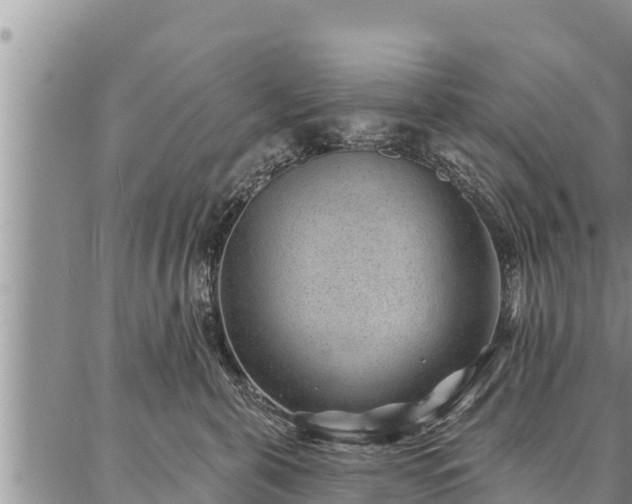 X0000086930571200704231333