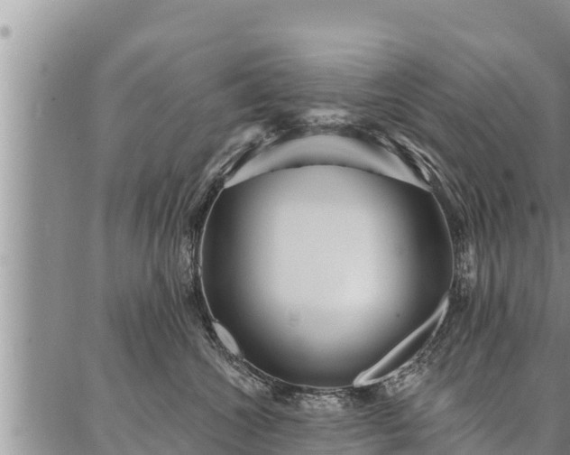 X0000086930572200704231333