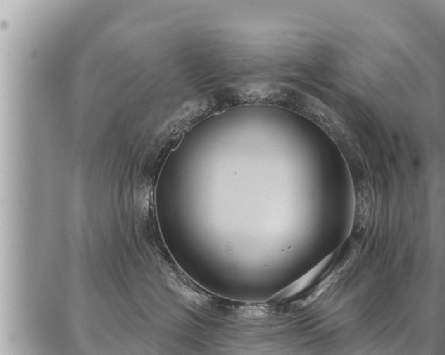 X0000086930574200704231333