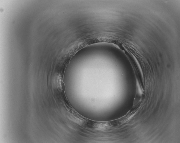 X0000086930575200704231333