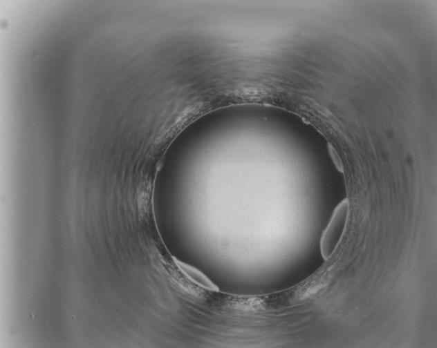 X0000086930576200704231333