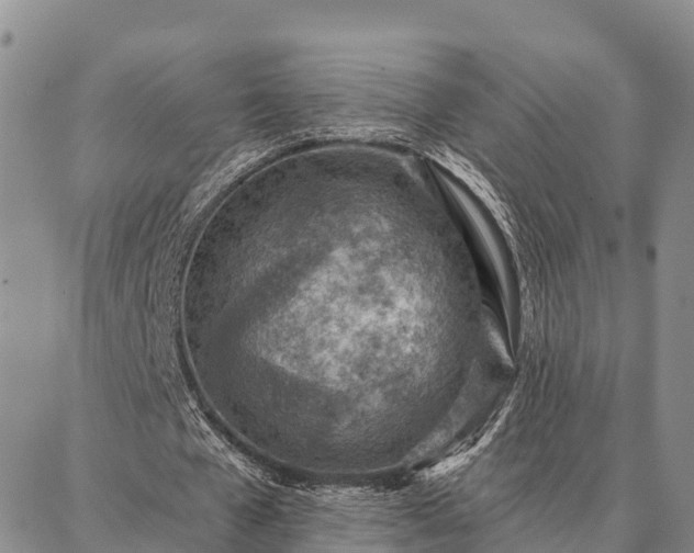 X0000086930577200704231333