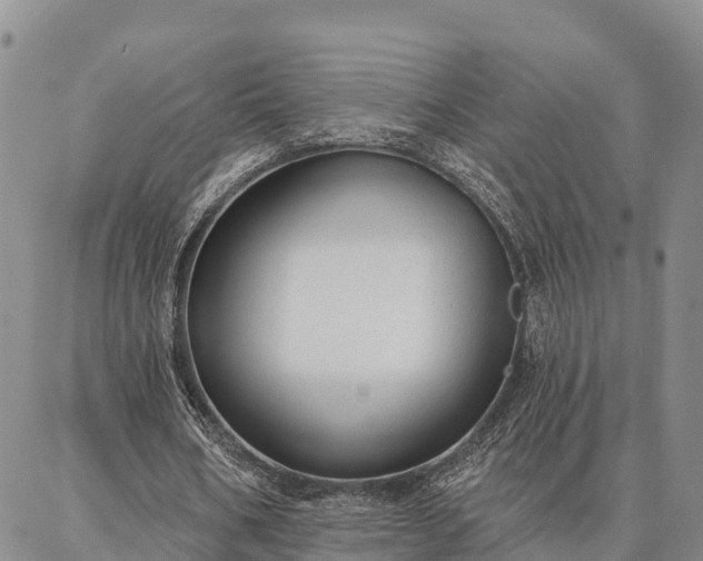 X0000086930578200704231332