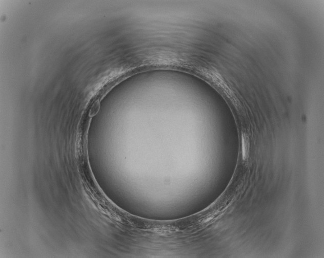 X0000086930579200704231332