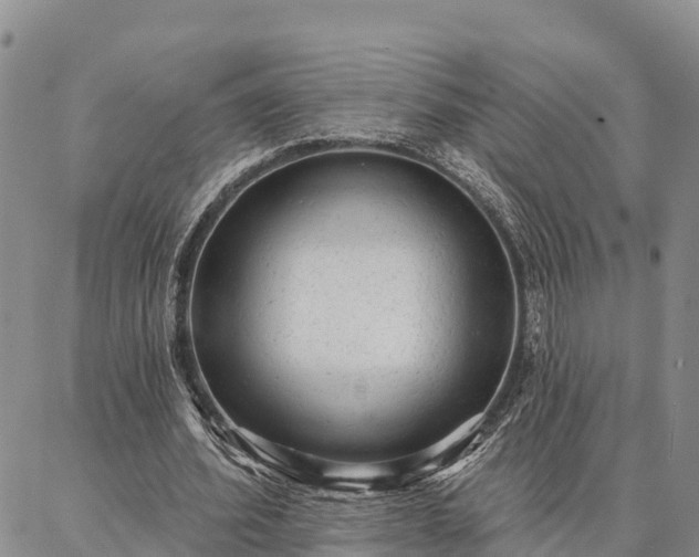 X0000086930580200704231332