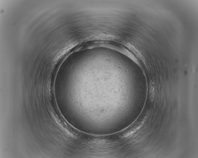 X0000086930581200704231332