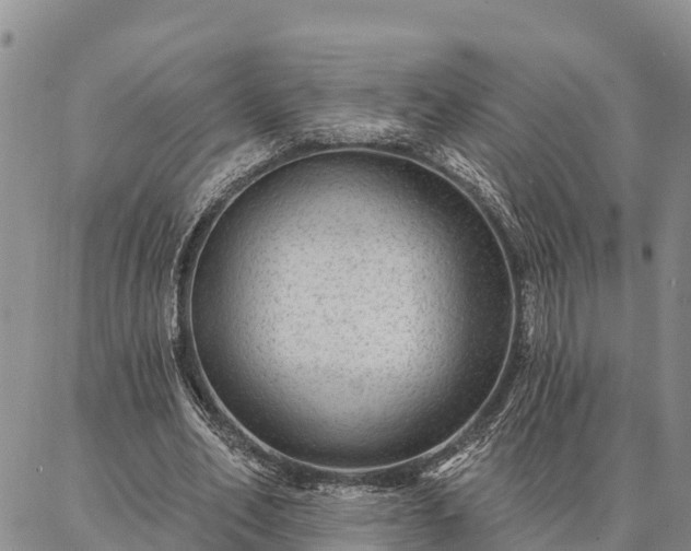 X0000086930582200704231332