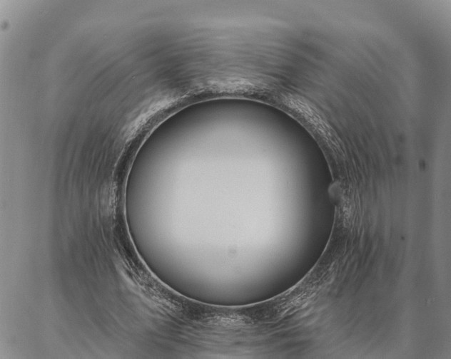 X0000086930583200704231332