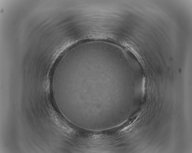 X0000086930584200704231332