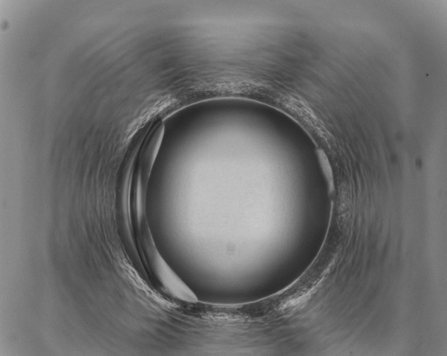 X0000086930585200704231332