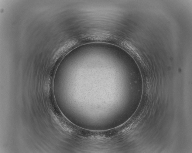 X0000086930586200704231332