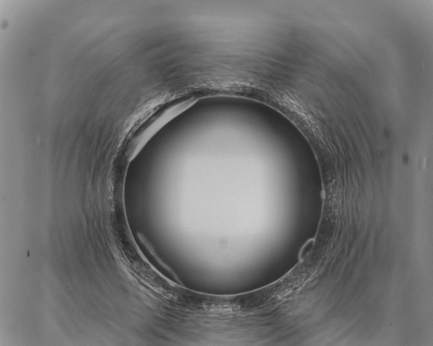 X0000086930587200704231332