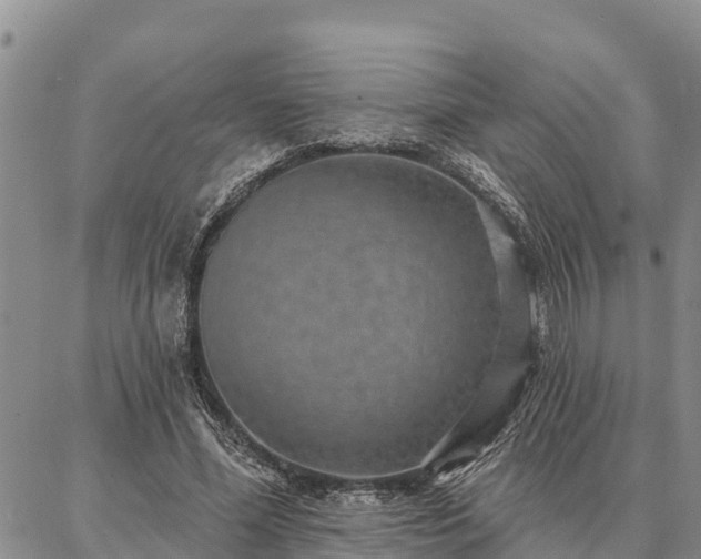 X0000086930588200704231332