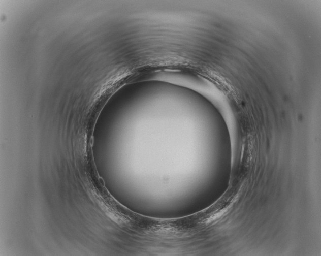 X0000086930589200704231332