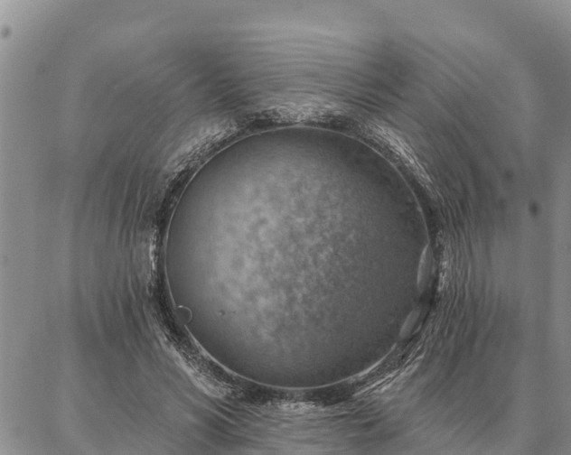 X0000086930590200704231332