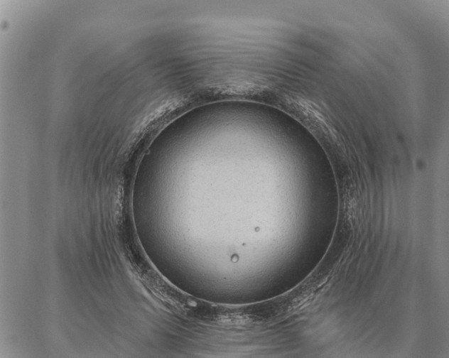 X0000086930591200704231332