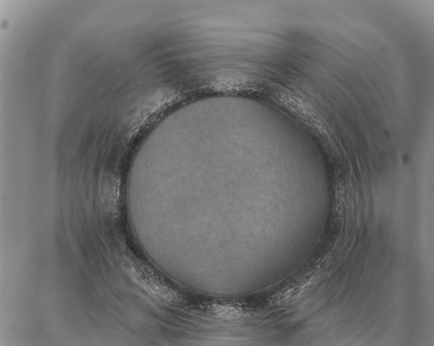 X0000086930592200704231332