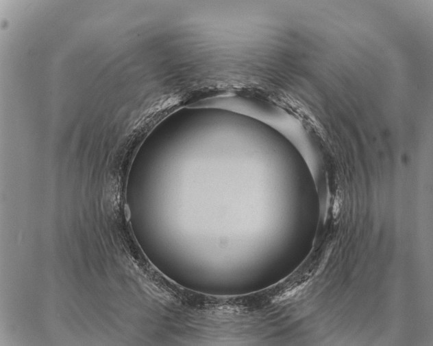 X0000086930593200704231332