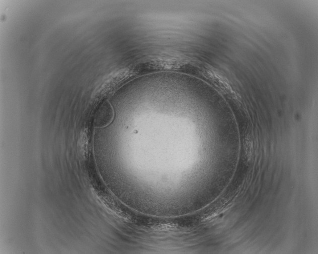 X0000086930594200704231332