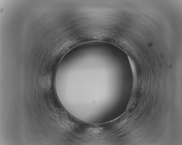 X0000086930595200704231332