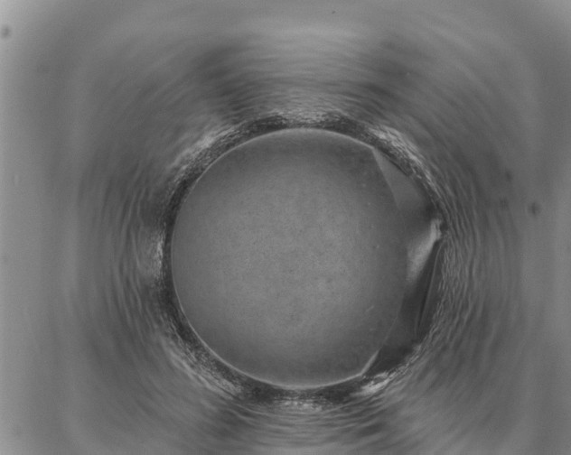 X0000086930596200704231332