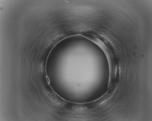 X0000086930597200704231332