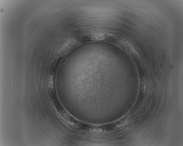 X0000086930598200704231332