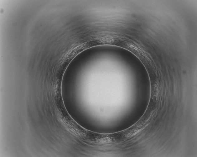 X0000086930600200704231332