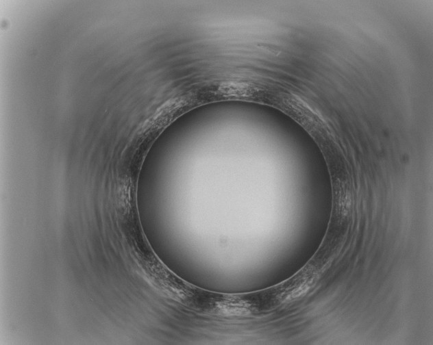 X0000086930603200704231332