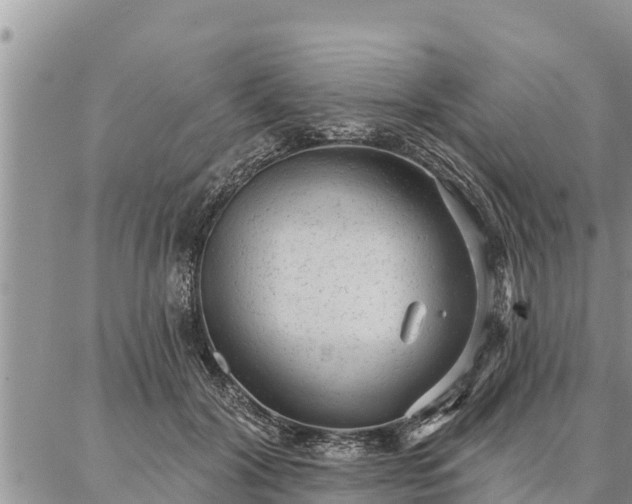 X0000086930604200704231332