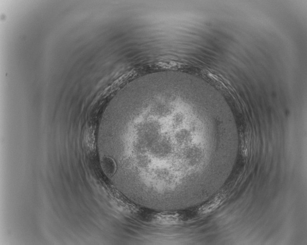 X0000086930606200704231332