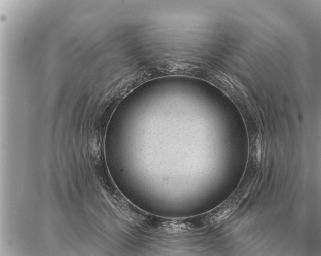 X0000086930607200704231332