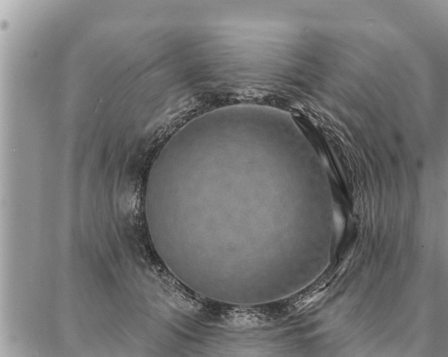 X0000086930608200704231332