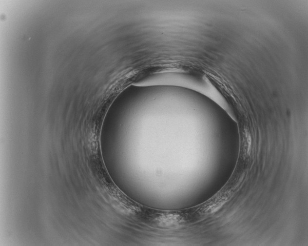 X0000086930609200704231332