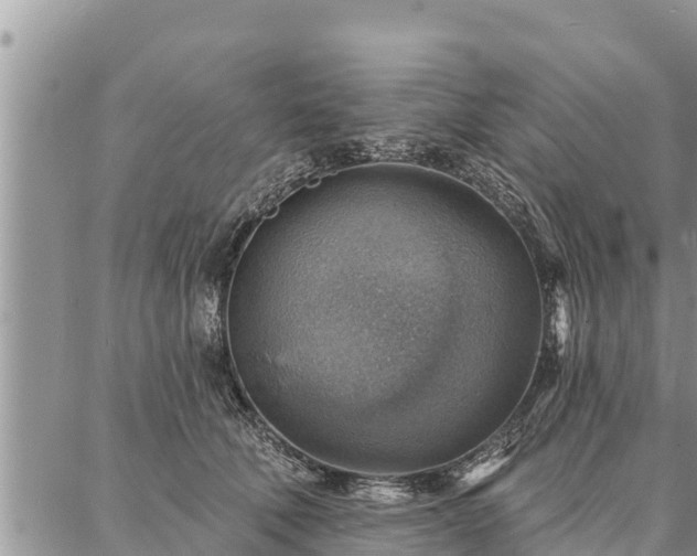 X0000086930610200704231332