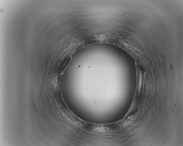 X0000086930611200704231332