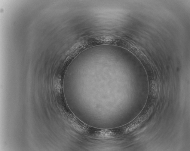 X0000086930612200704231332