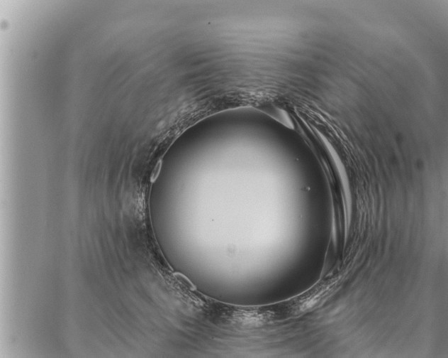 X0000086930613200704231332