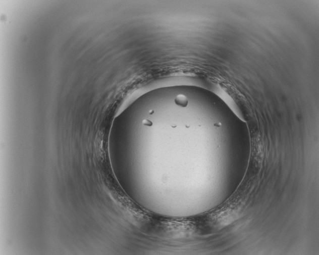 X0000086930615200704231332