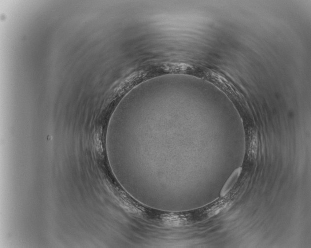 X0000086930616200704231332