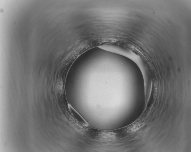 X0000086930617200704231332