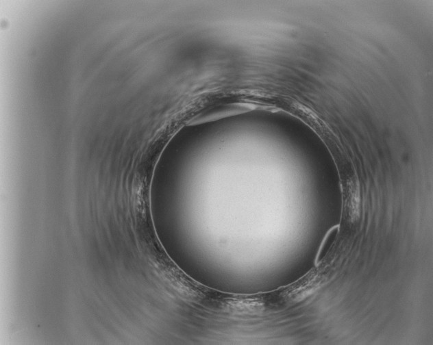 X0000086930619200704231332