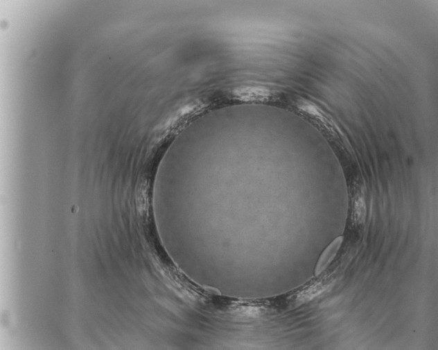 X0000086930620200704231332