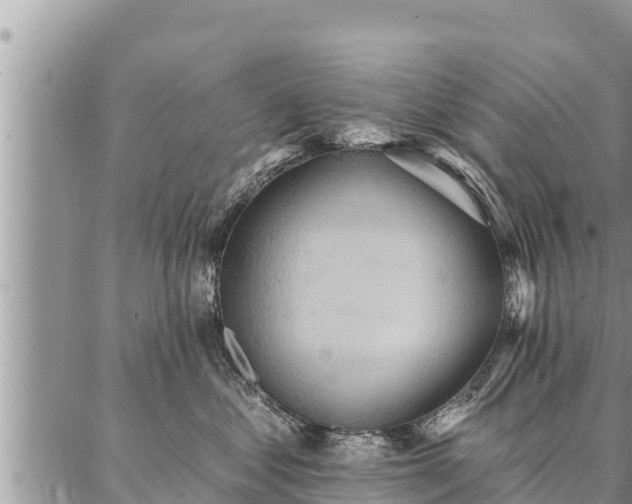 X0000086930621200704231332