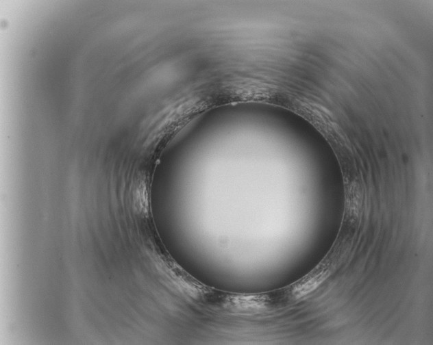 X0000086930622200704231332